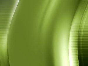 阜新蒙古族自治縣木材加工有限責任公司